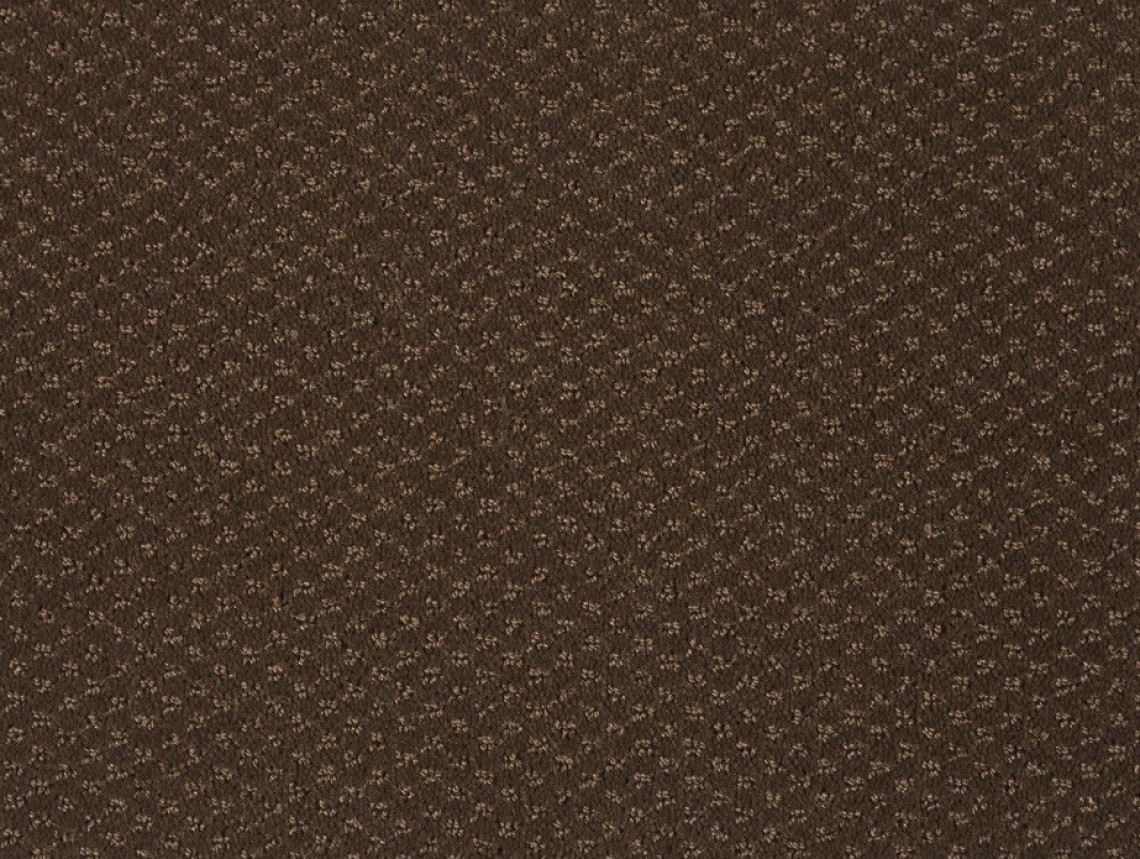 Carve Classic - 280-Havanna